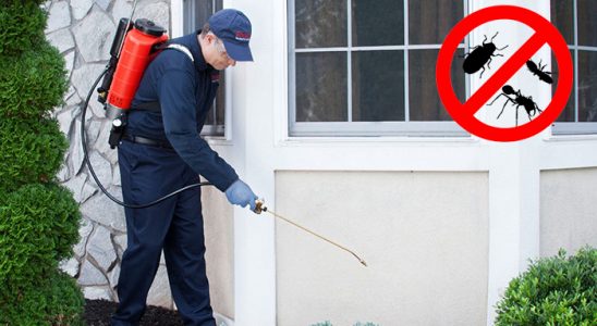 Durağan Kene İlaçlama böcek ilaçlama ve haşere kontrolü — ilaclama-tr.com